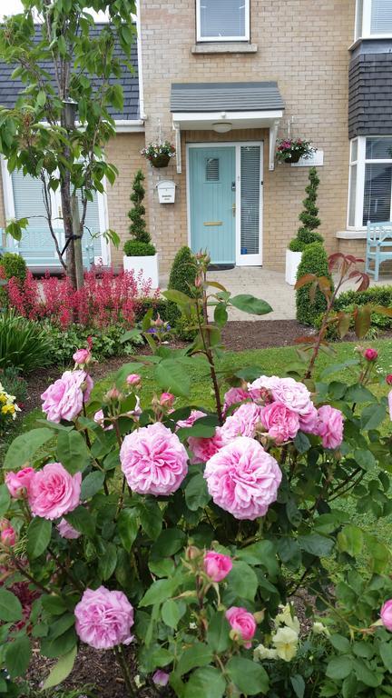 No.5 Bed & Breakfast Kilcullen Luaran gambar