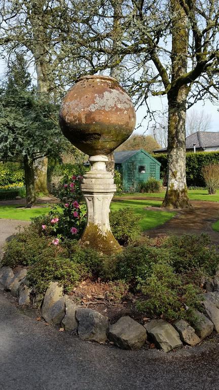 No.5 Bed & Breakfast Kilcullen Luaran gambar